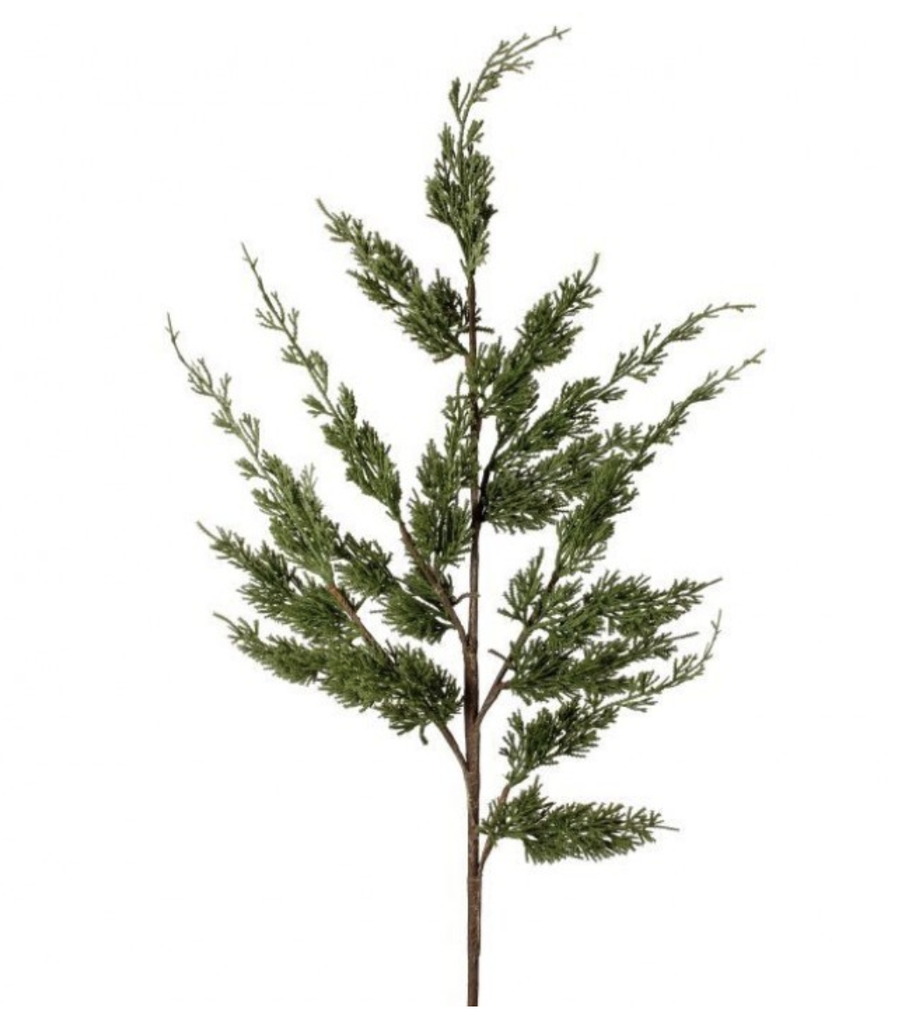 Vara Pino Cypress 38"