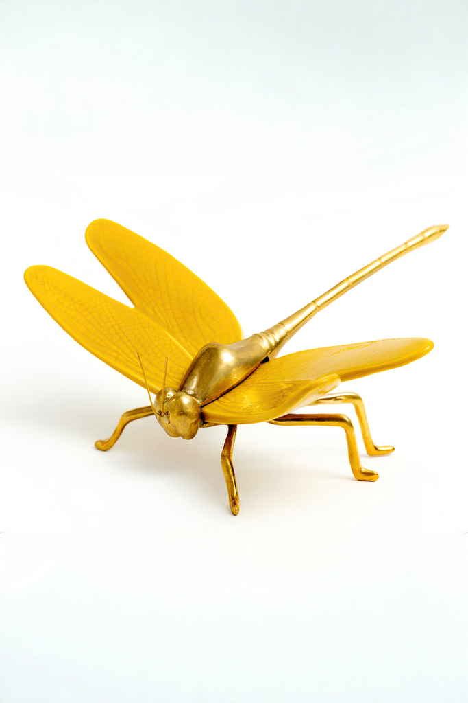 Libelula Amarillo