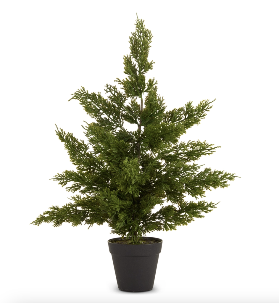 Arbol Cedar 24"