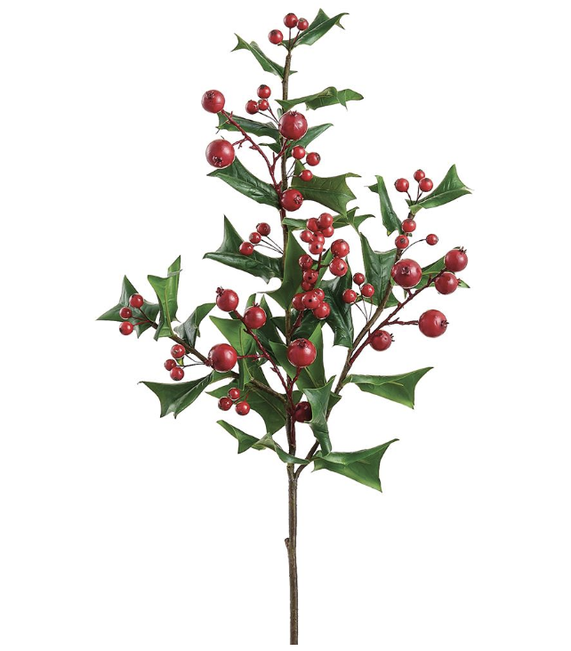 Vara Holly 30"