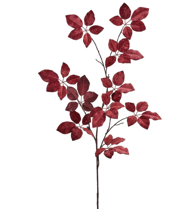 Vara Rojo Scheffler Terciopelo
