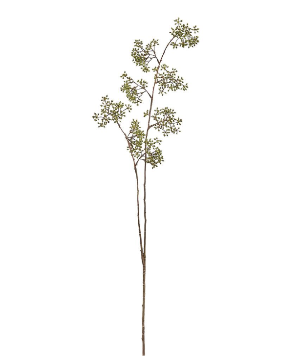 Vara Verde Sedum