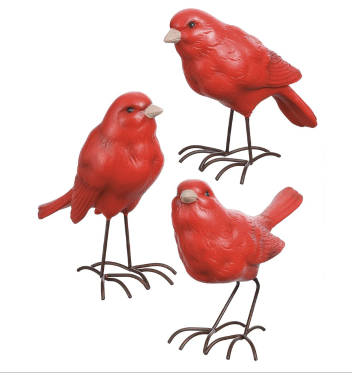 Set 3 Cardenal
