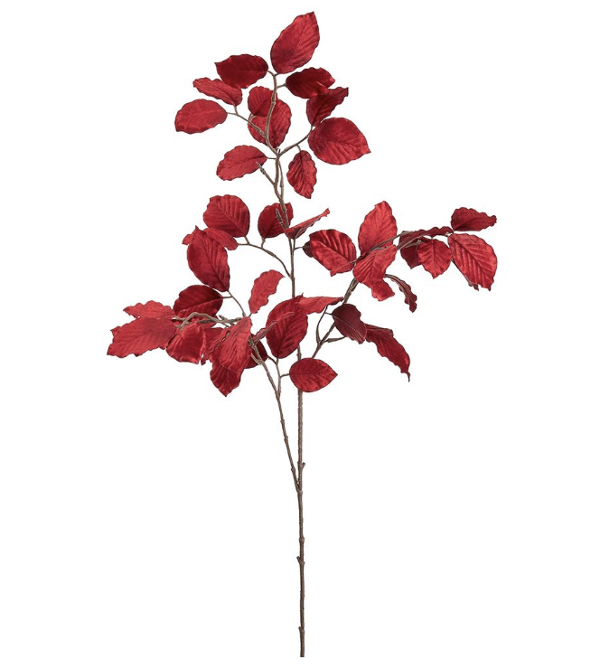 Vara Rojo Beech Terciopelo