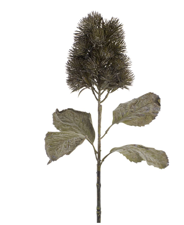 Vara Verde Thistle