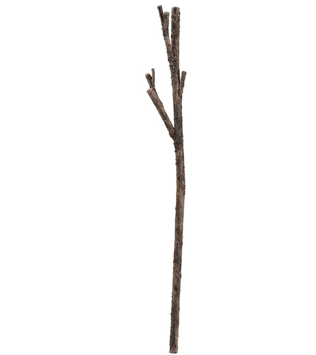 Vara Tronco Madera