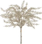Vara Oro Pod 26"