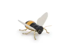 Abeja Amarillo