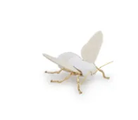 Abeja Blanco