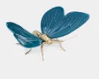 Mariposa Azul