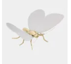 Mariposa Blanco Mate