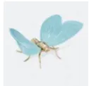 Mariposa Celeste