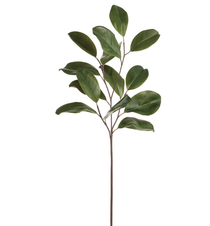 Vara Magnolia 32"