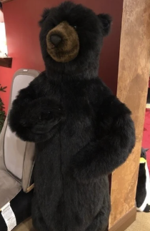 [75019] Oso Negro Parado 58"