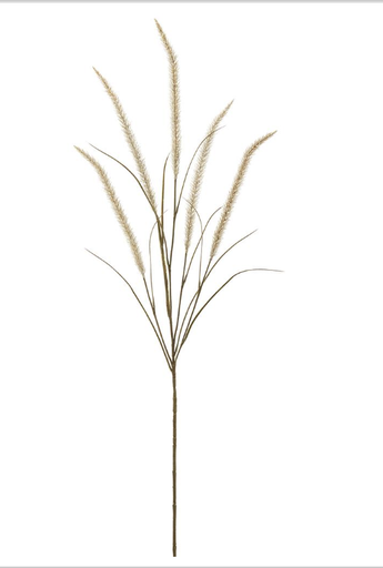 [FSF668-CR] Vara Beige Hierba de Fuente 53"