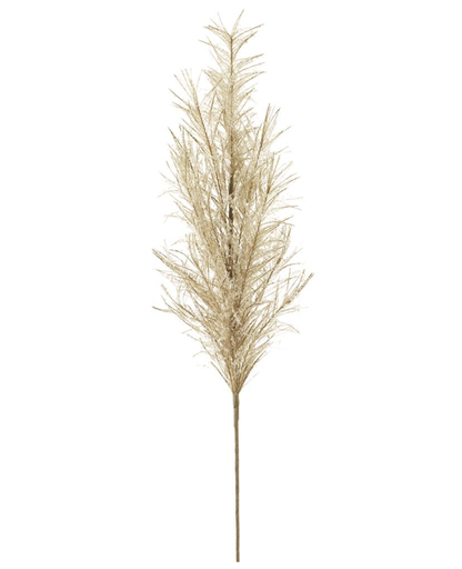 [XAQ564-BE] Vara Beige Pampas 34.5"